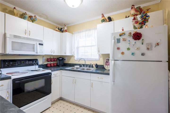 in-law suite kitchen