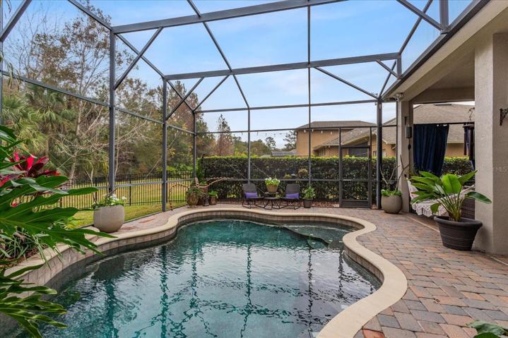 Heated Salt Water Pool