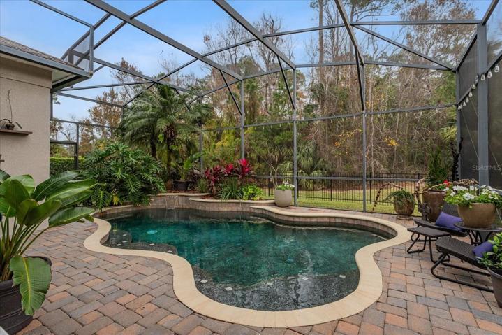 Heated Salt Water pool