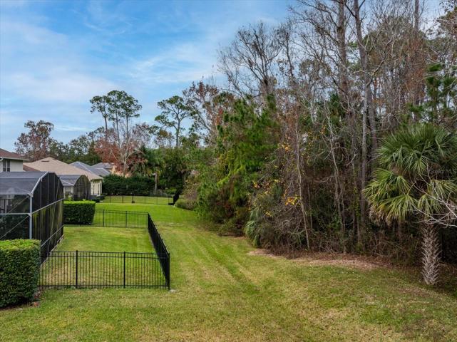 Fenced Back Yard and Conversation Area