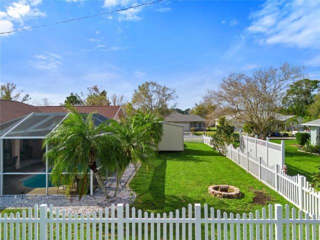 Back yard