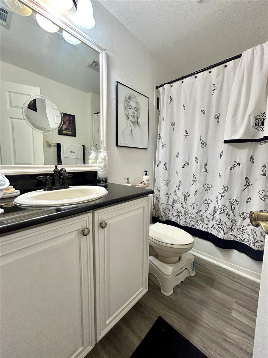 downstairs guest bath