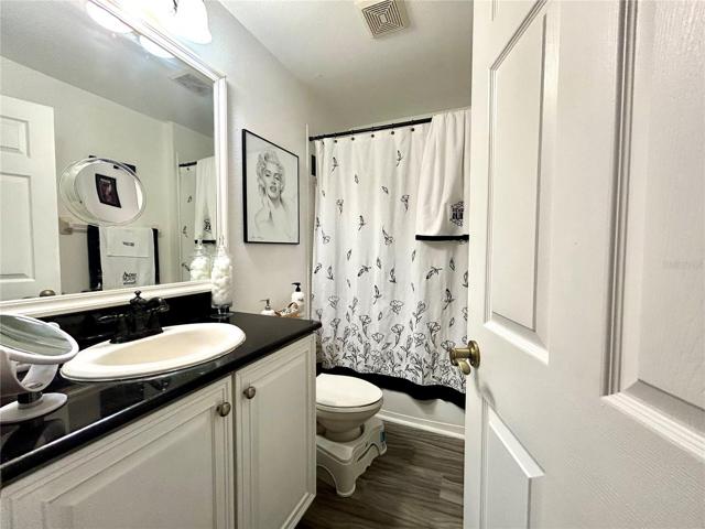 downstairs guest bath