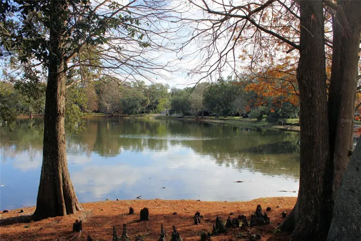Lake Roberta 2 blocks away