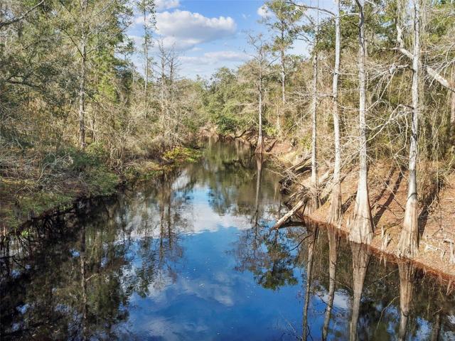 River front on the Withlacoochee River