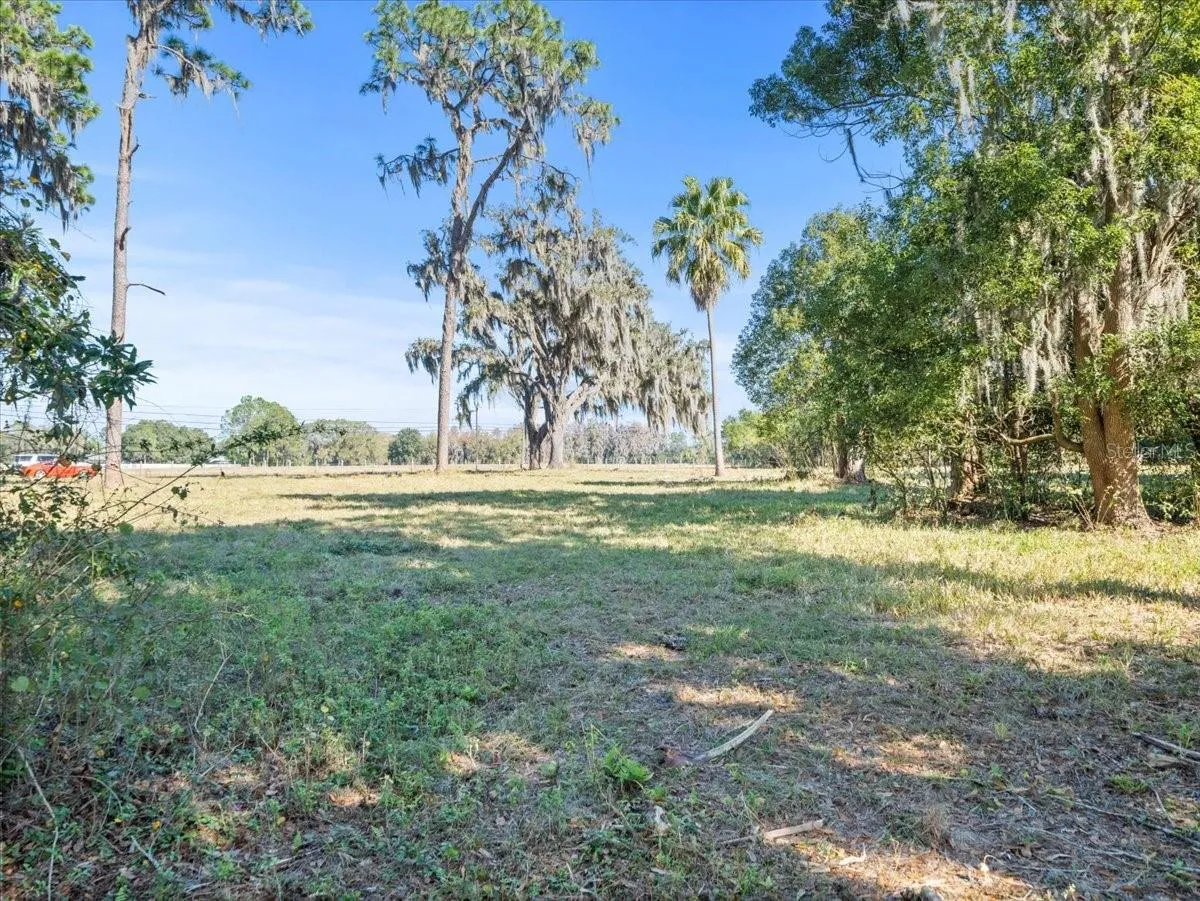 Odessa, Florida 33556, 0 , 0 ,0,Land,For Sale,BOY SCOUT,0,T3495933