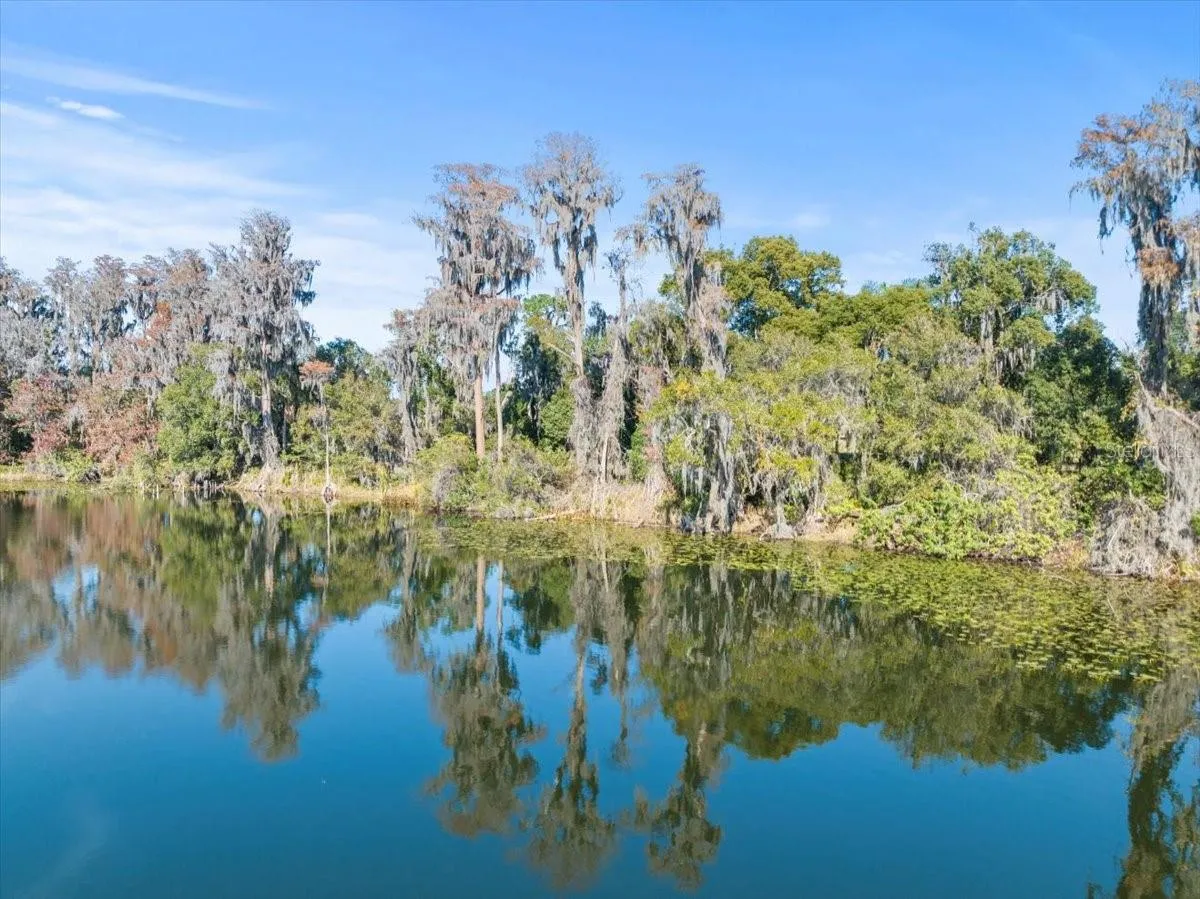 Odessa, Florida 33556, 0 , 0 ,0,Land,For Sale,BOY SCOUT,0,T3495933