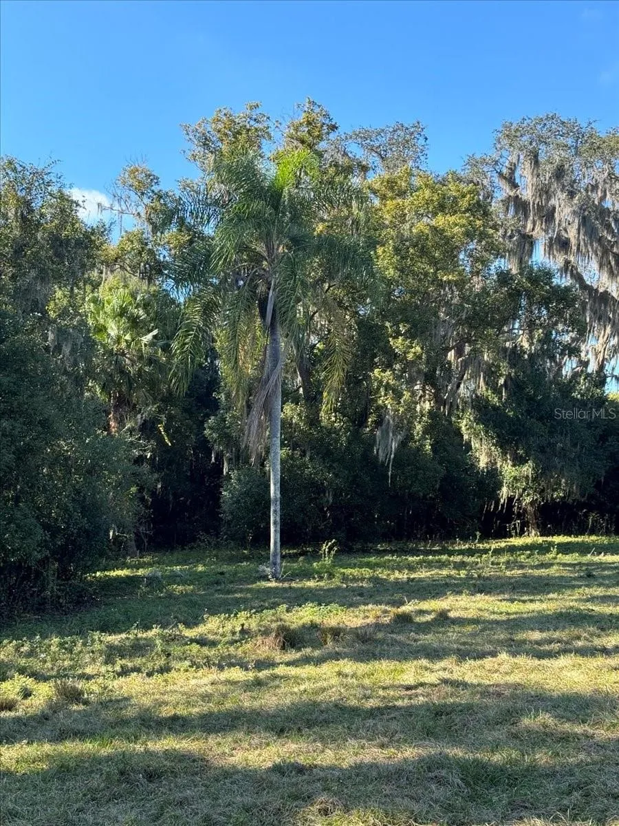 Odessa, Florida 33556, 0 , 0 ,0,Land,For Sale,BOY SCOUT,0,T3495933