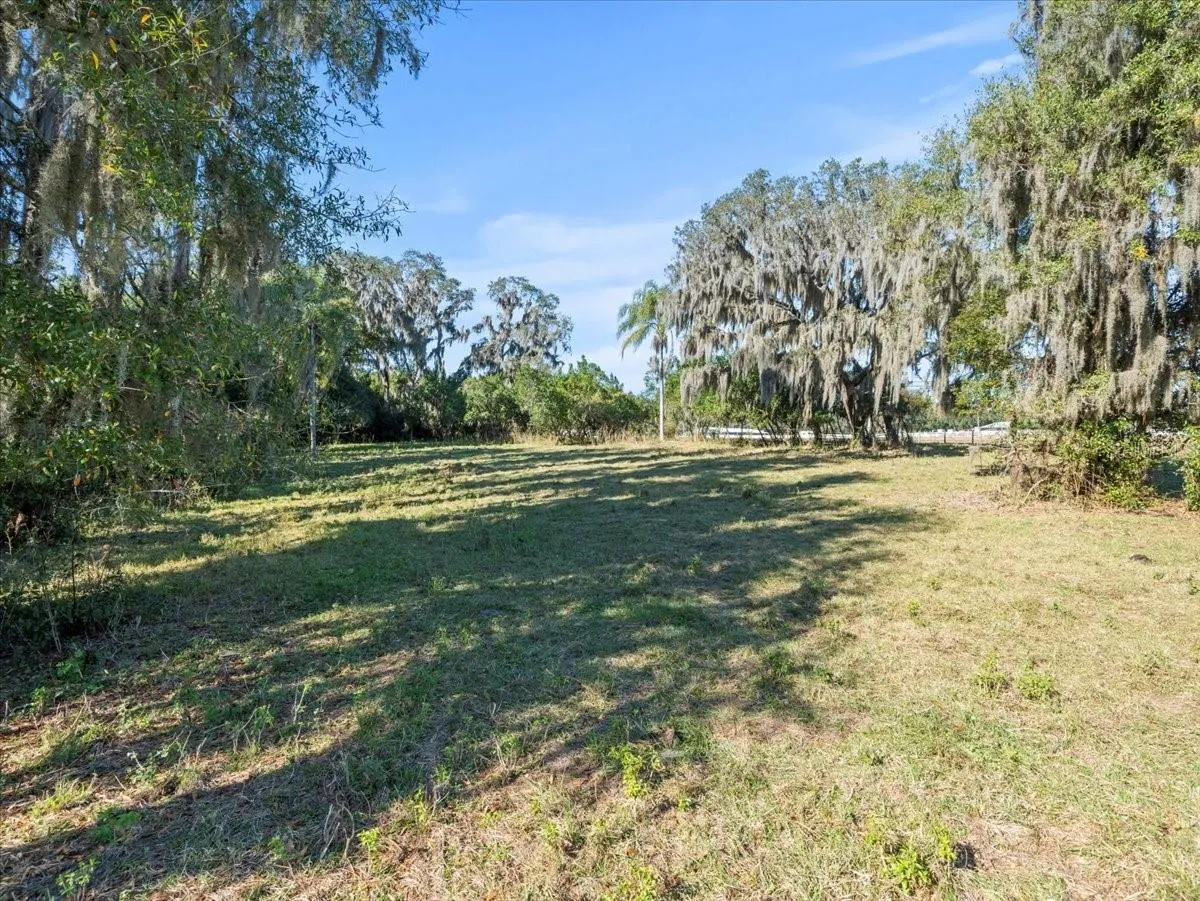 Odessa, Florida 33556, 0 , 0 ,0,Land,For Sale,BOY SCOUT,0,T3495933