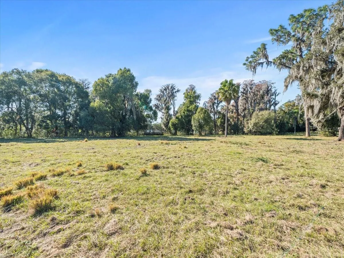 Odessa, Florida 33556, 0 , 0 ,0,Land,For Sale,BOY SCOUT,0,T3495933