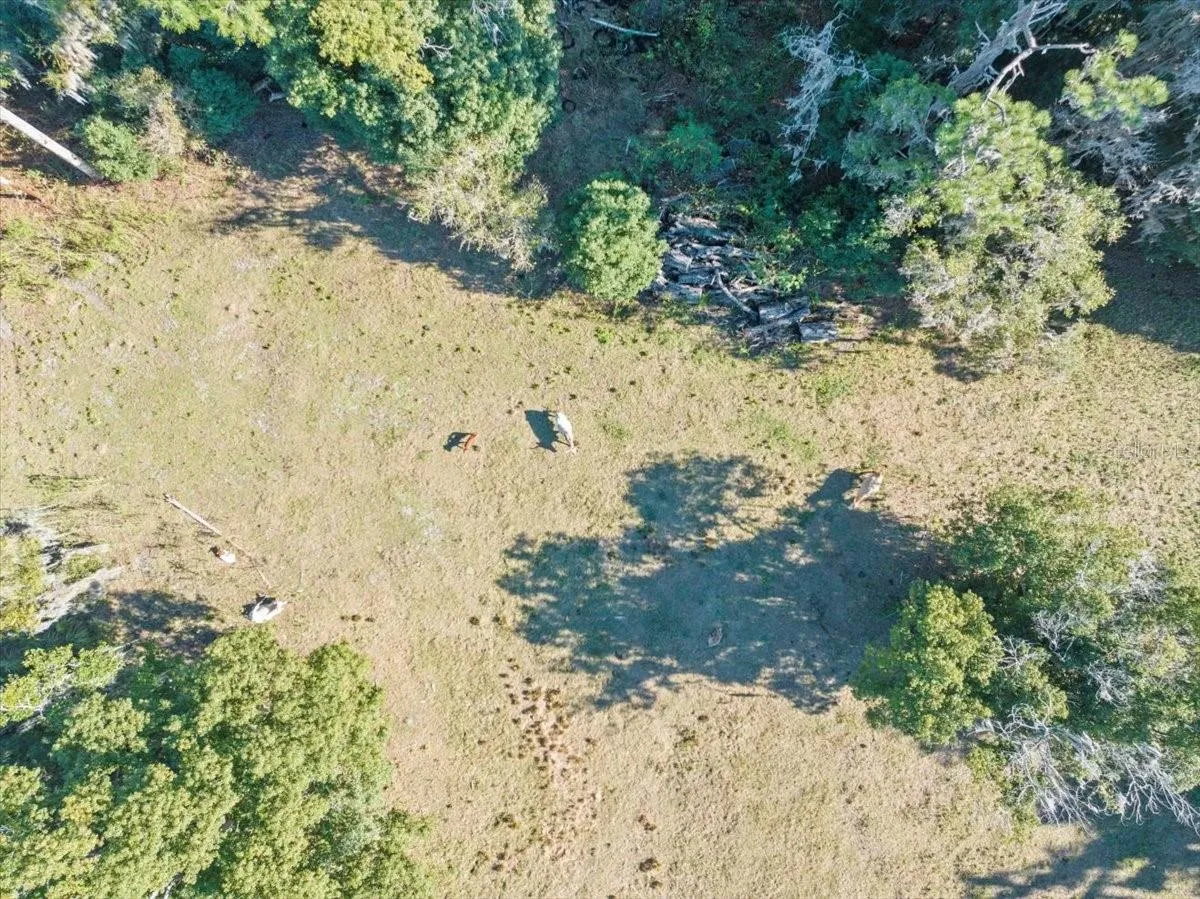 Odessa, Florida 33556, 0 , 0 ,0,Land,For Sale,BOY SCOUT,0,T3495933