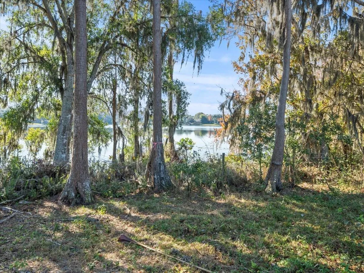 Odessa, Florida 33556, 0 , 0 ,0,Land,For Sale,BOY SCOUT,0,T3495933