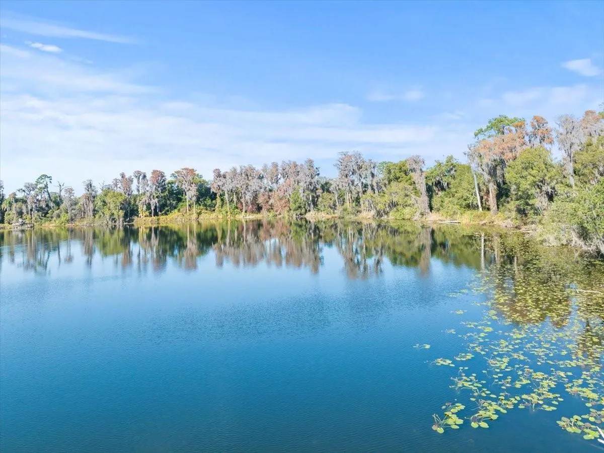 Odessa, Florida 33556, 0 , 0 ,0,Land,For Sale,BOY SCOUT,0,T3495933