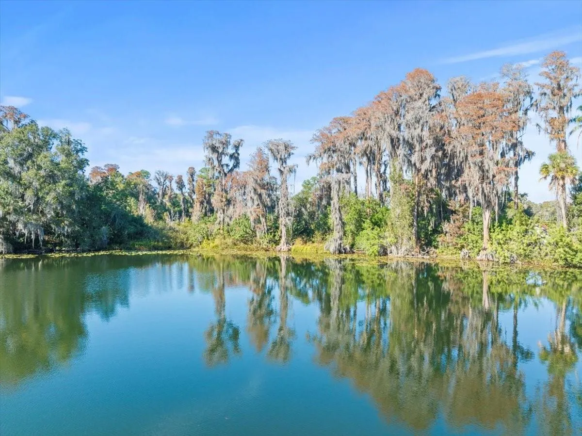 Odessa, Florida 33556, 0 , 0 ,0,Land,For Sale,BOY SCOUT,0,T3495933