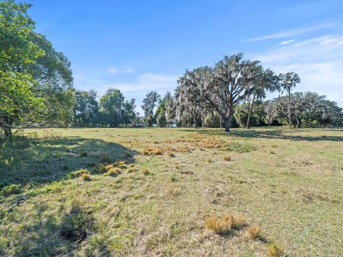 Odessa, Florida 33556, 0 , 0 ,0,Land,For Sale,BOY SCOUT,0,T3495933