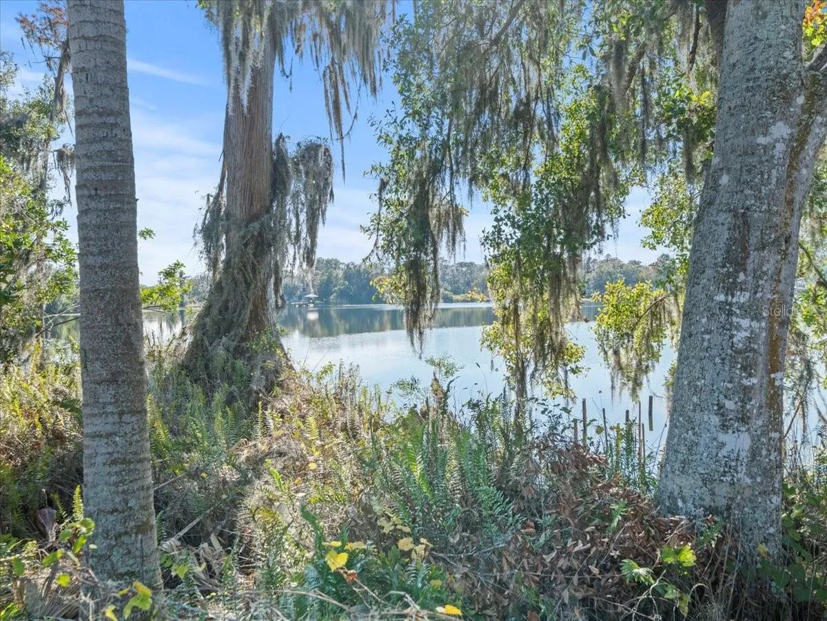 Odessa, Florida 33556, 0 , 0 ,0,Land,For Sale,BOY SCOUT,0,T3495933