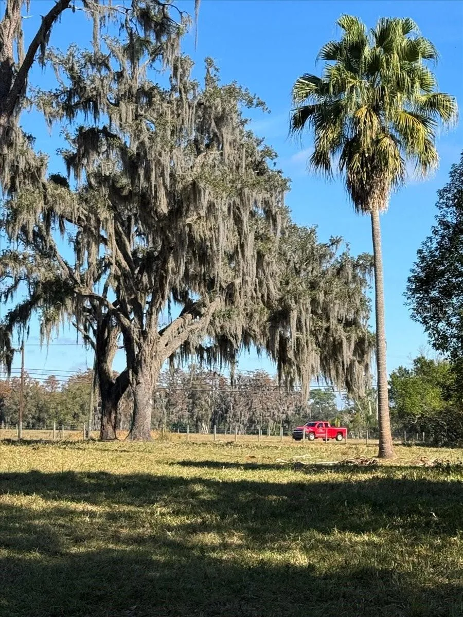 Odessa, Florida 33556, 0 , 0 ,0,Land,For Sale,BOY SCOUT,0,T3495933
