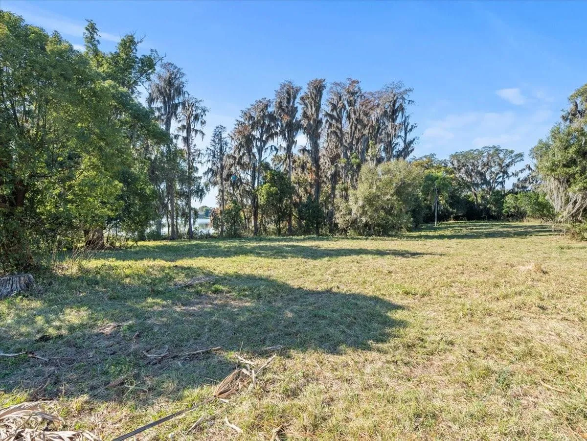 Odessa, Florida 33556, 0 , 0 ,0,Land,For Sale,BOY SCOUT,0,T3495933