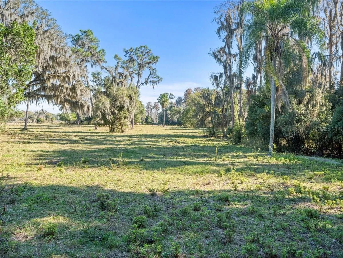 Odessa, Florida 33556, 0 , 0 ,0,Land,For Sale,BOY SCOUT,0,T3495933