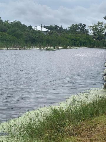 WET LANDS