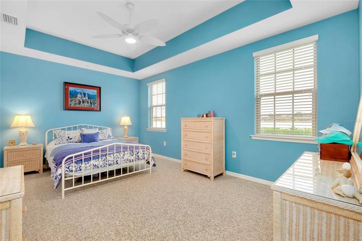 Primary Bedroom with Trey Ceiling