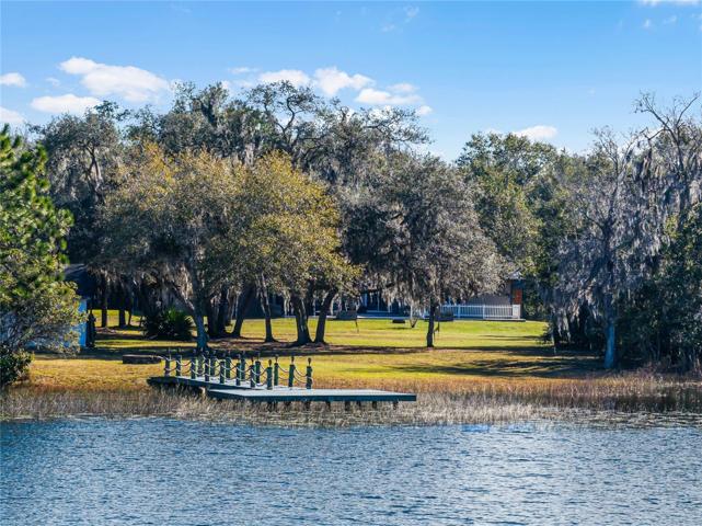 View From Lake