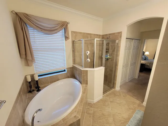 Soaking tub and walk in shower