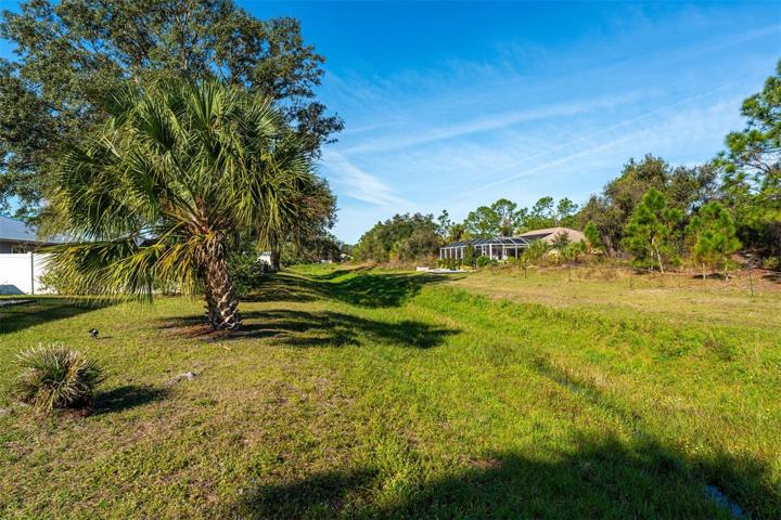 Backs up to gopher tortoise terrain