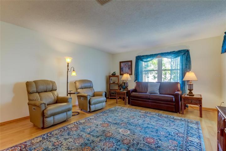Living Room.. Beautiful Window Treatments Convey with Sale!