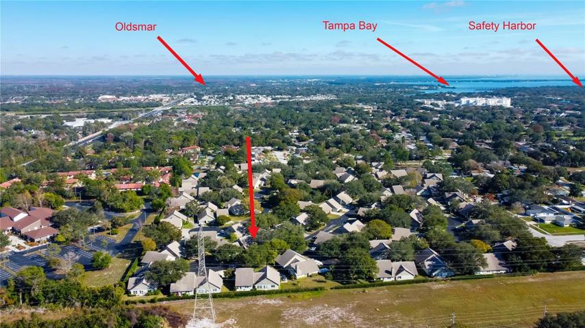 Head to Oldsmar for a HUGE Variety of Lifestyle Needs.. Shopping, Movies, Restaurants Galore!