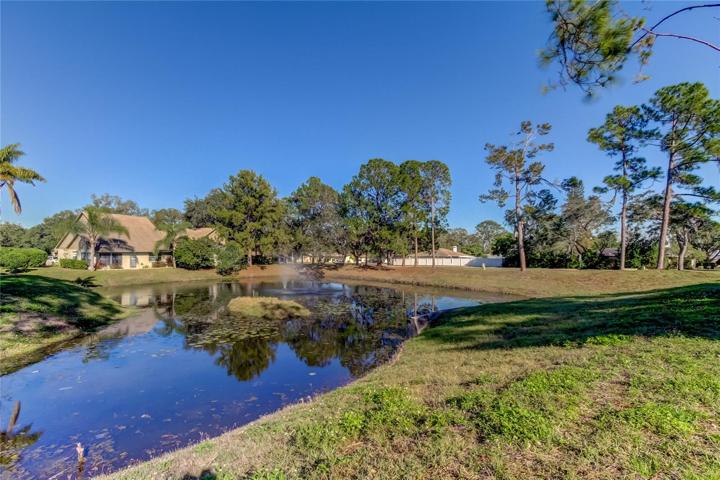 One of Two Lily Pad Ponds with Center Fountains within the Community for Your Pleasure.. Great Wildlife is Present in These Ponds!