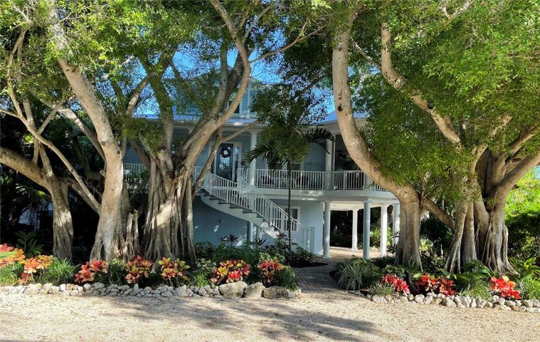 3 beautiful Banyan trees