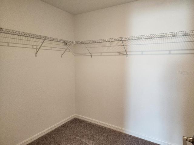 Master walk in closet