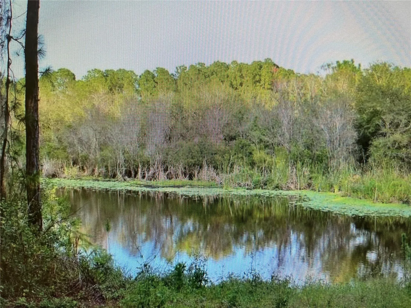 North Port, Florida 34286, 0 , 0 ,0,Land,For Sale,NARCISSUS,0,N6130442