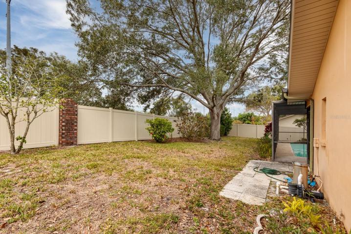 Side Yard