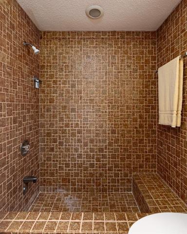 Primary Bath with sunken shower