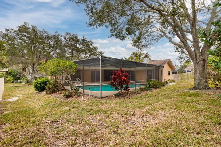 Backyard - large lot