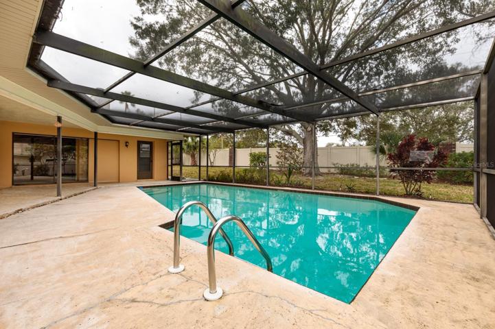 Large Pool
