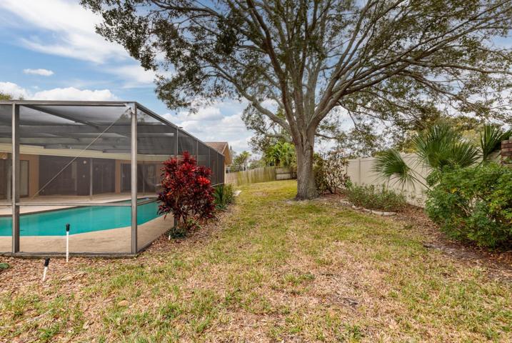 Backyard, along fencing