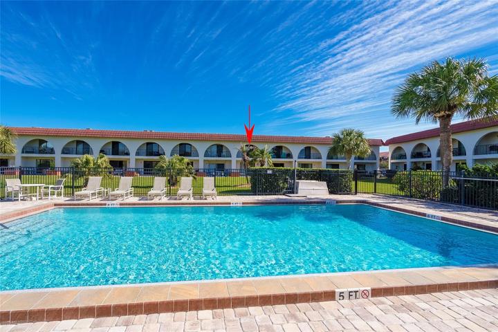 Large Pool
