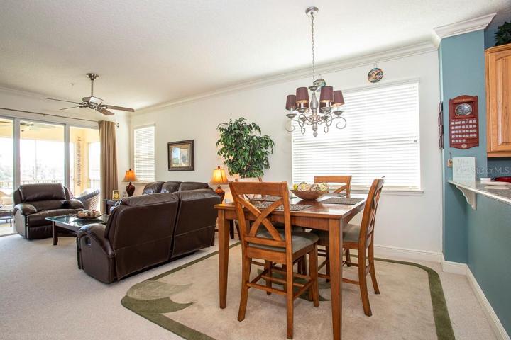 Wall Of Windows In The Living/Dining Areas