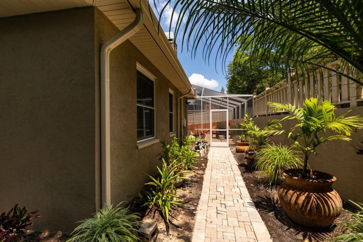 Lower Backyard