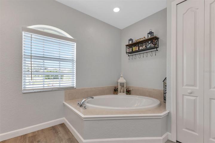 Master Bath Garden Tub