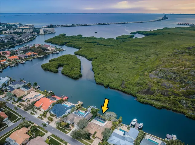 Conservation view with access to Tampa Bay and out to the Gulf.