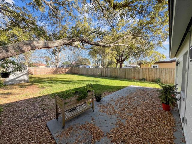 Backyard Patio