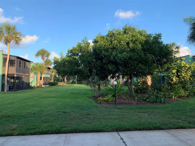 Garden view
