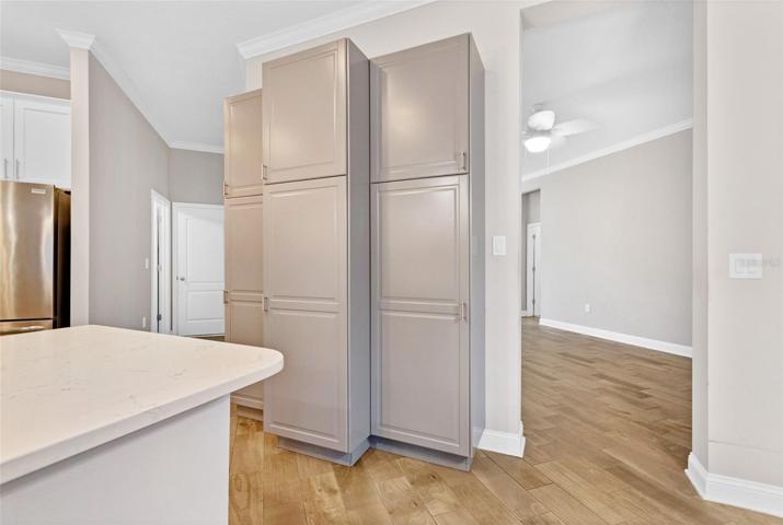Extra  Kitchen Cabinets