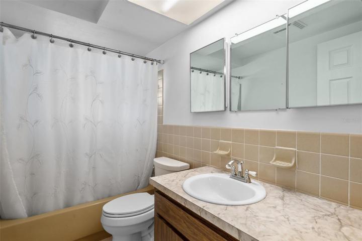 Guest Bath with Tub
