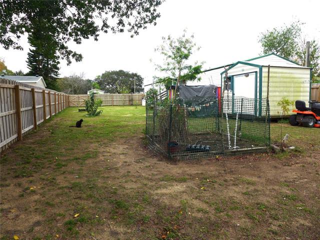 Backyard with Shed