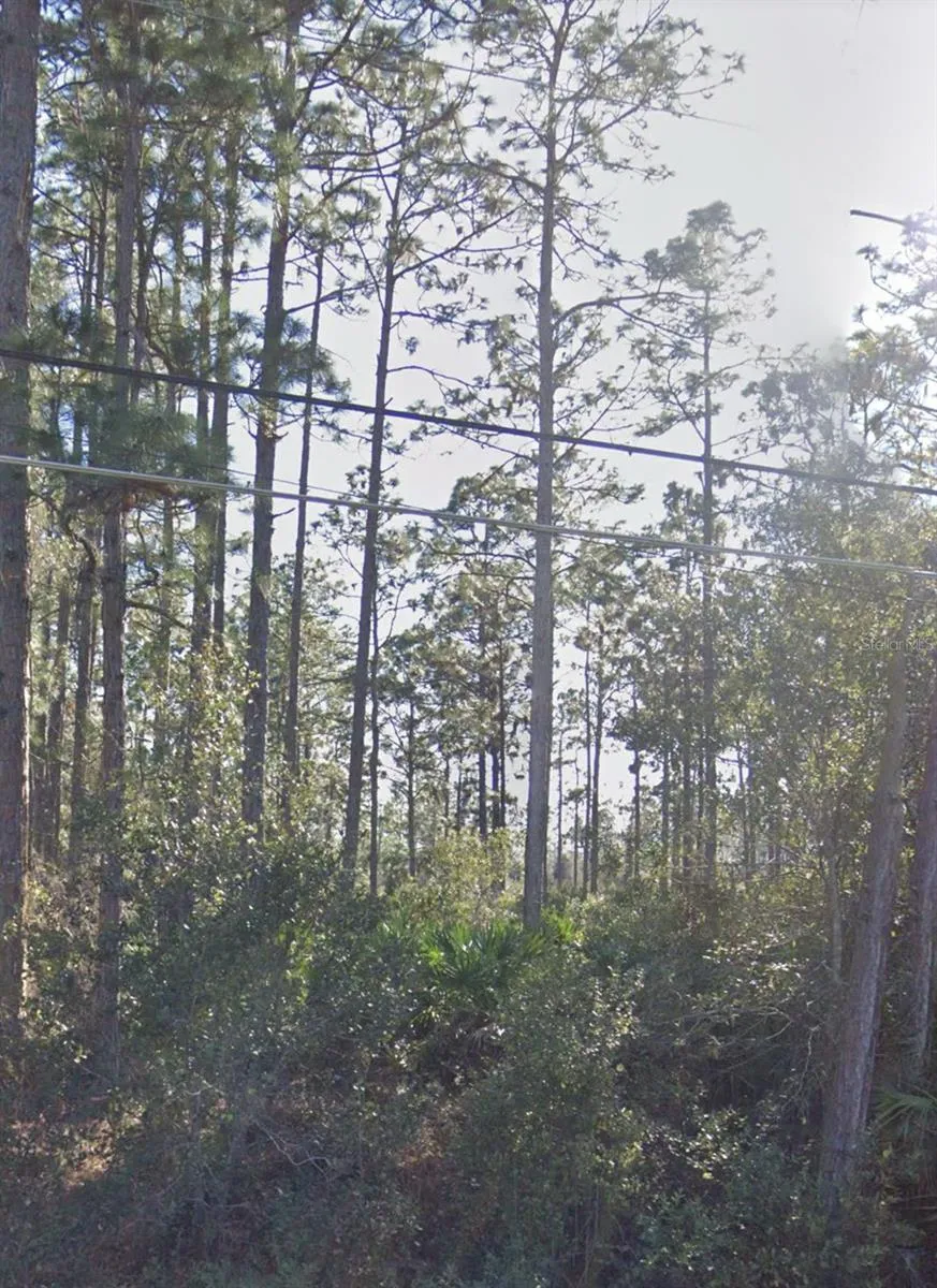 Orlando, Florida 32833, 0 , 0 ,0,Land,For Sale,RALSTON,0,G5077293